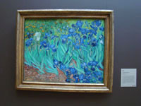 Van Gogh Irises